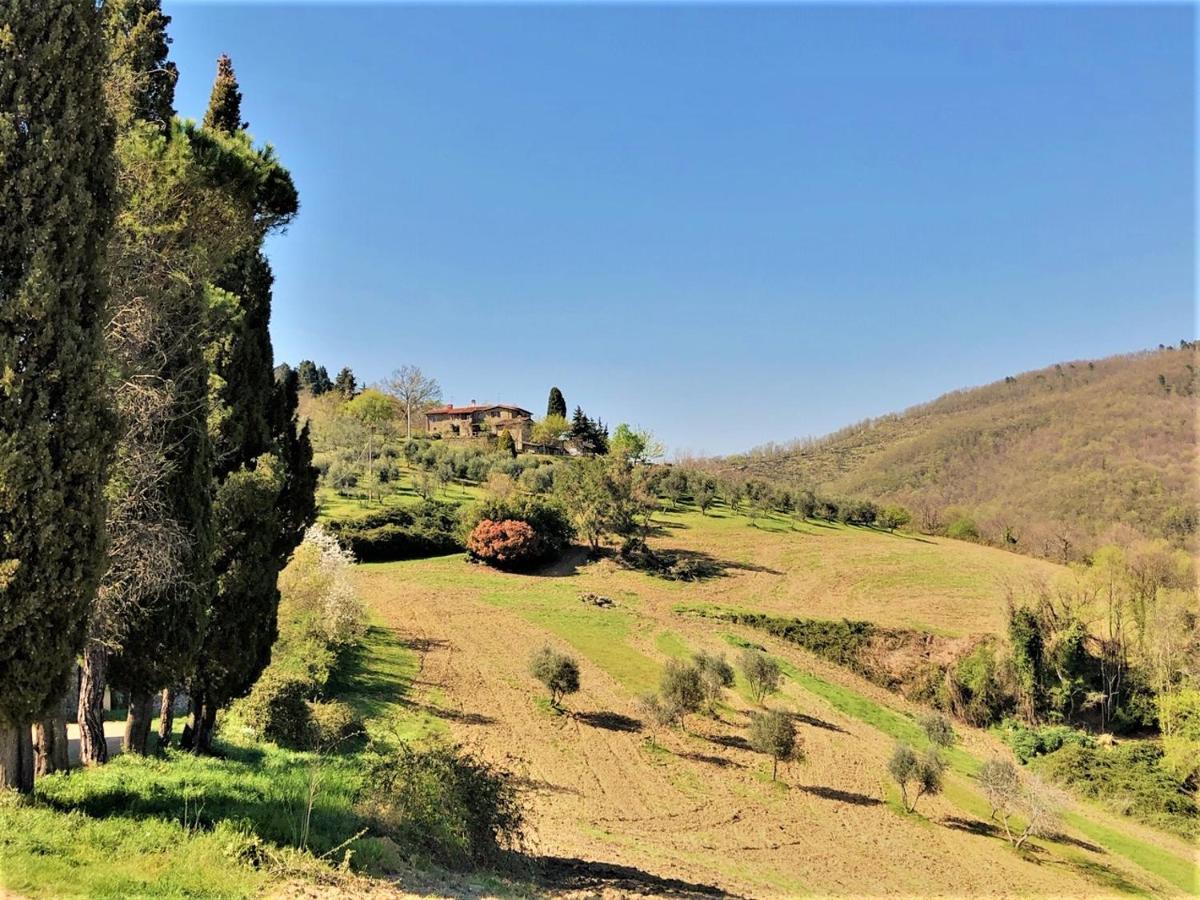 Agriturismo La Sala Греве ин Кианти Екстериор снимка